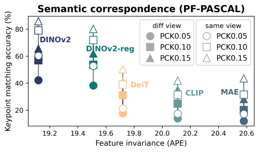 Scatter plot: PF-PASCAL keypoint matching accuracy against APE for five ViTs.