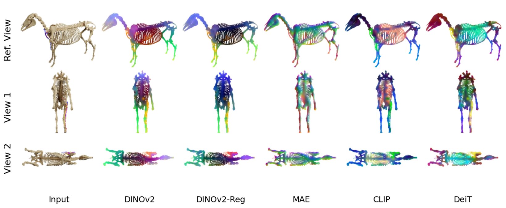 An Objaverse horse skeleton from a reference view and two other views, with the features of DINOv2, DINOv2-Reg, MAE, CLIP and DeiT shown as PCA colours; DINOv2's colours stay the most consistent across views.