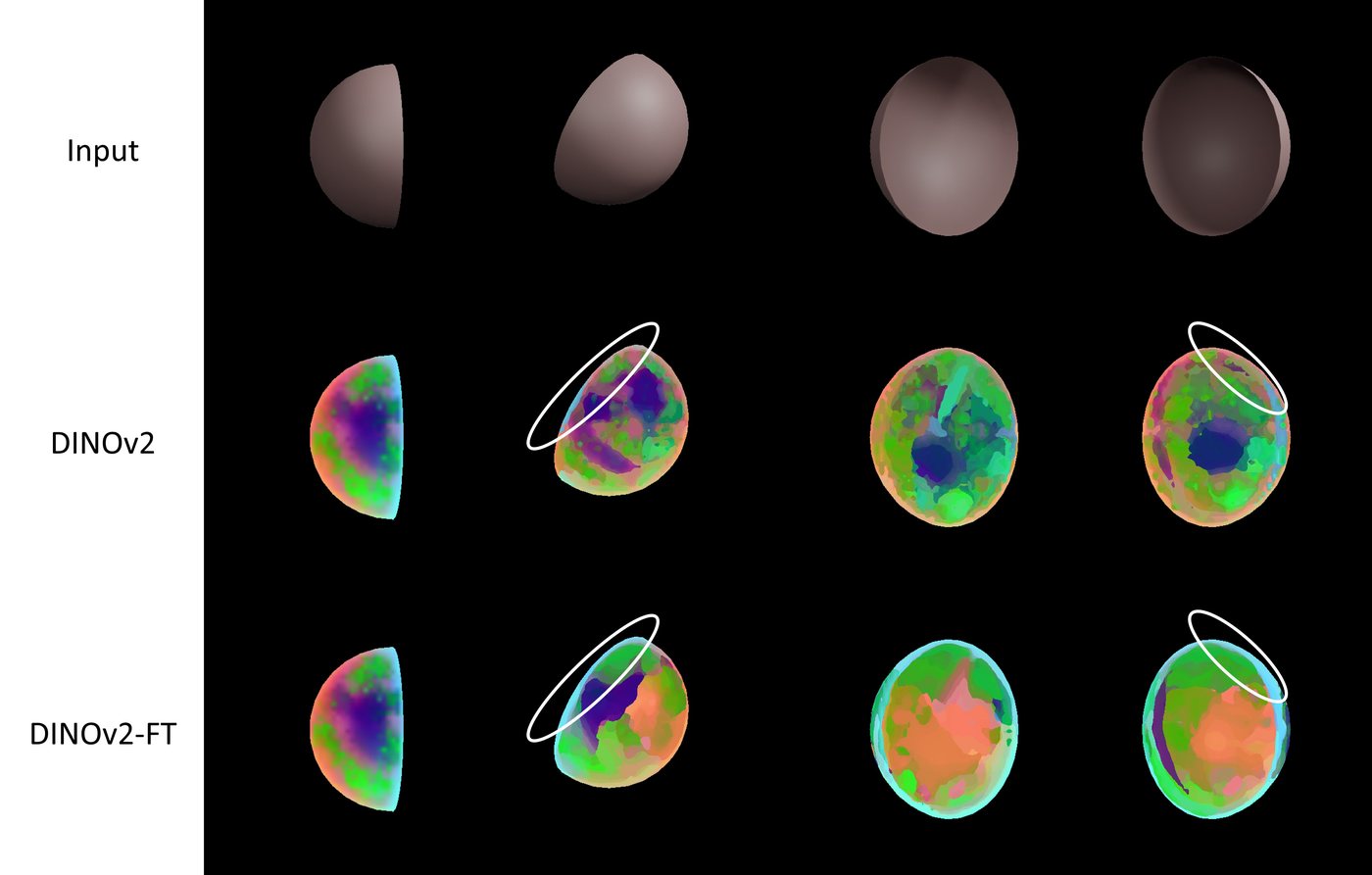 An untextured hemisphere from four viewpoints, with DINOv2 features before and after finetuning; after finetuning, edges and inward and outward views get consistent features.